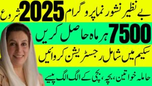 Benazir Nashonuma Programme Details