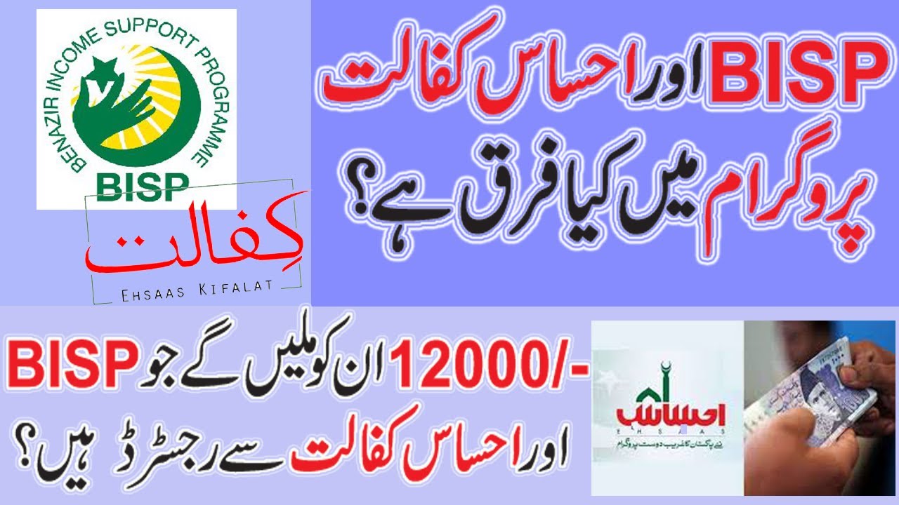 What is BISP